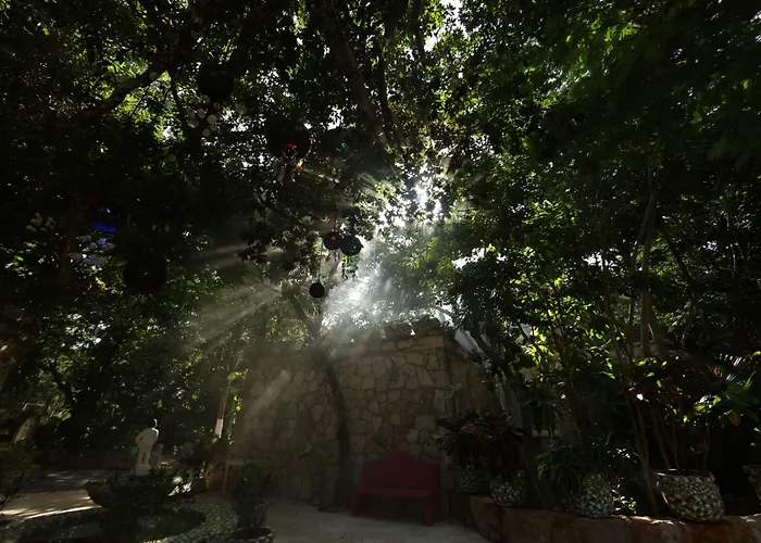 Xolumado Inspiration Village Hotel